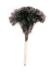 Feather duster