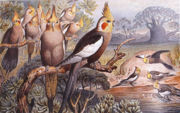 1927 Brehms Tierleben painting