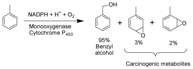 Image:Toluene Metabolism Scheme.png