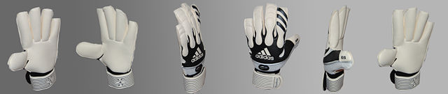 Image:Goalkeeperglove pano FCB981.jpg