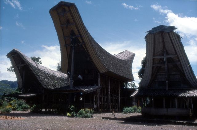 Image:Toraja house.jpg