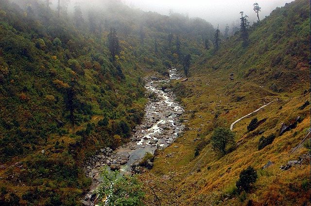 Image:Nathu La Fauna 1.jpg