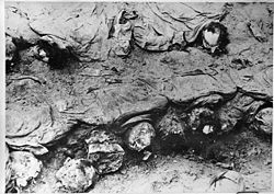 Katyn 1943 exhumation.  Photo made by Polish Red Cross delegation.