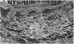 One of the mass graves at Katyn.