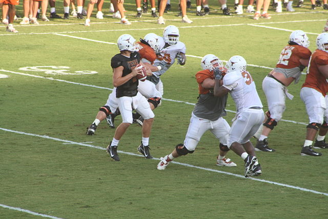 Image:2006 UT fall scrimmage Snead.JPG