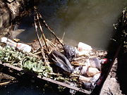 Litter floating in an irrigation canal