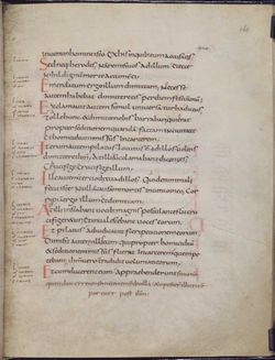 This Carolingian Gospel Book is written in a fine Carolingian minuscule.