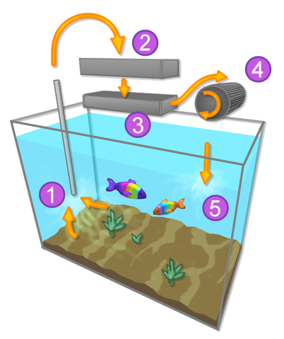 Image:Aquarium.png