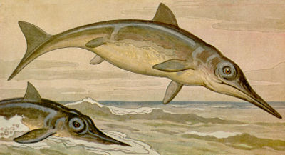 A historical restoration of Ichthyosaurus by Heinrich Harder.