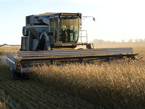 Allis-Chalmers GLEANER L2