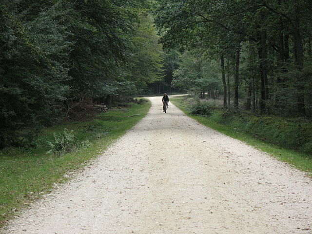 Image:New Forest Cycle path.jpg