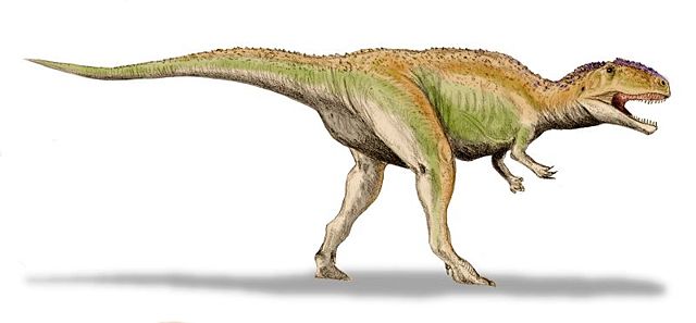 Image:Giganotosaurus BW.jpg