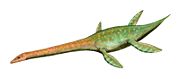 Attenborosaurus