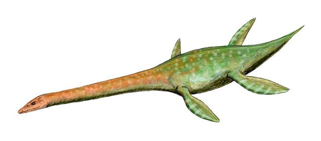 Image:Attenborosaurus BW.jpg