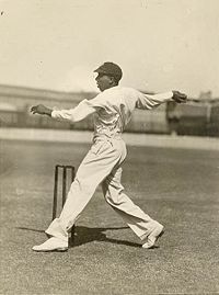 David Lloyd, International Cricket Wiki