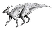 Parasaurolophus walkeri.