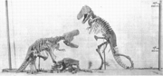 Scale model of the never-completed Tyrannosaurus rex exhibit planned for the American Museum of Natural History by H.F. Osborn.