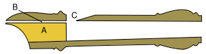 Cross-section of the head of a recorder