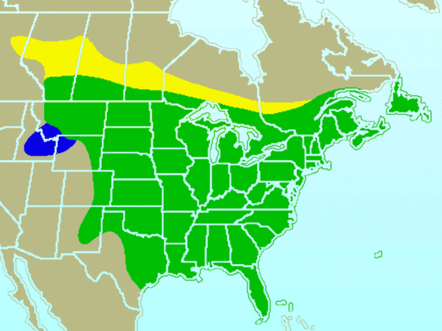 Image:Blue Jay-rangemap.gif