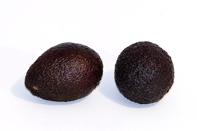 Image:Avacado white bg.jpg