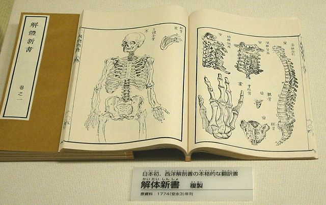 Image:First Japanese treatise on Western anatomy.jpg