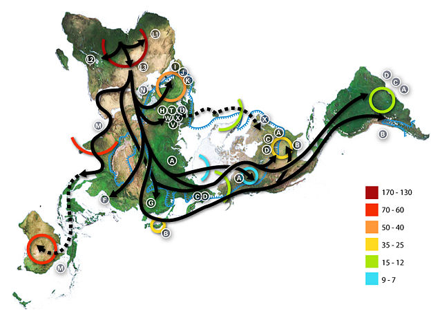 Image:Map-of-human-migrations.jpg