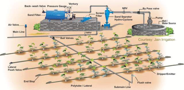 Image:Dripirrigation.gif