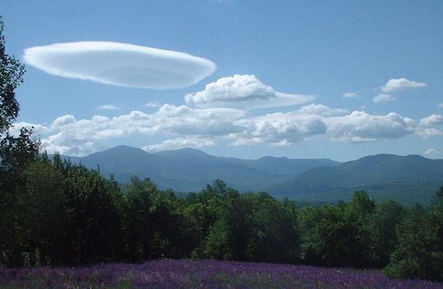 Image:Lenticular4.jpg.jpeg