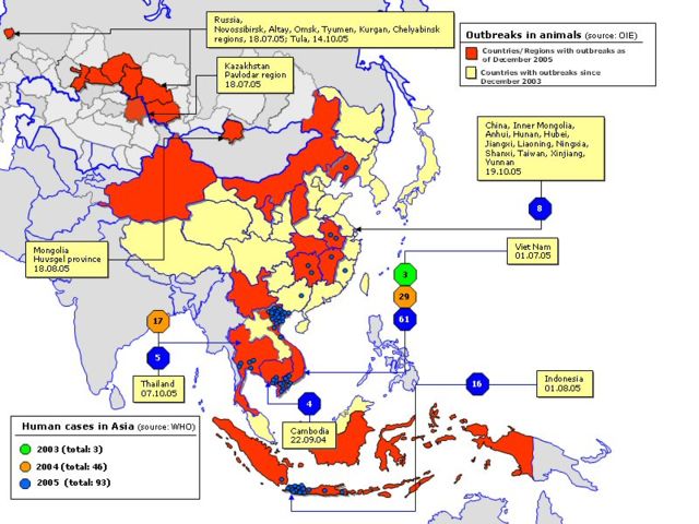 Image:Avian influenza spread map.jpg