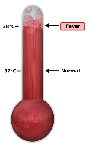 Image:Thermometer Fever.svg