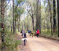 A group of Australian scouts (male and female) hike along a fire trail in a national park. Note that Australian scout youth members generally do not wear uniforms except on formal occasions