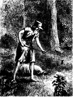 Johnny Appleseed, Harper’s New Monthly Magazine, 1871