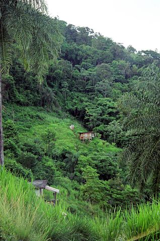 Image:Port of spain hills.JPG