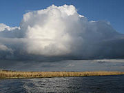 River Thurne