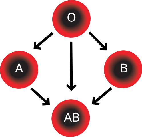 Image:Blood Compatibility.svg