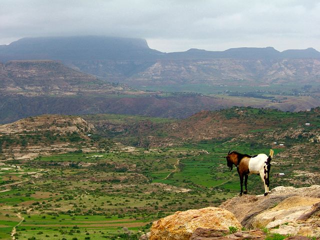 Image:Ethiopian highlands 01 mod.jpg