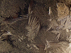 Ice crystals at refrigerator window