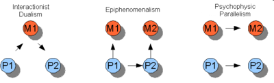 Three varieties of dualism. The arrows indicate the direction of the causal interactions. Property dualism and Occasionalism are not shown.