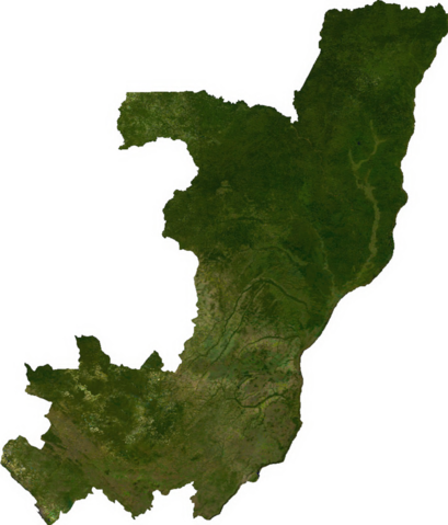 Image:Congo sat.png