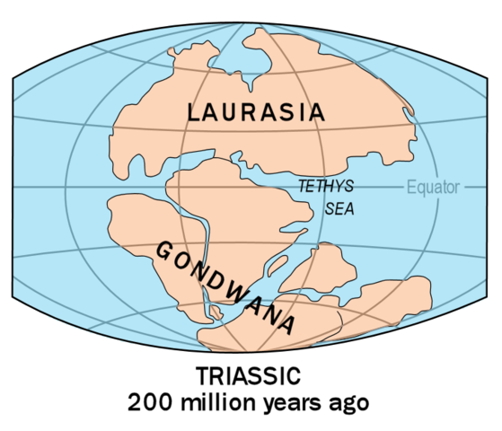 Image:Laurasia-Gondwana.png