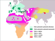 The five subspecies of Felis silvestris according to a 2007 DNA study.