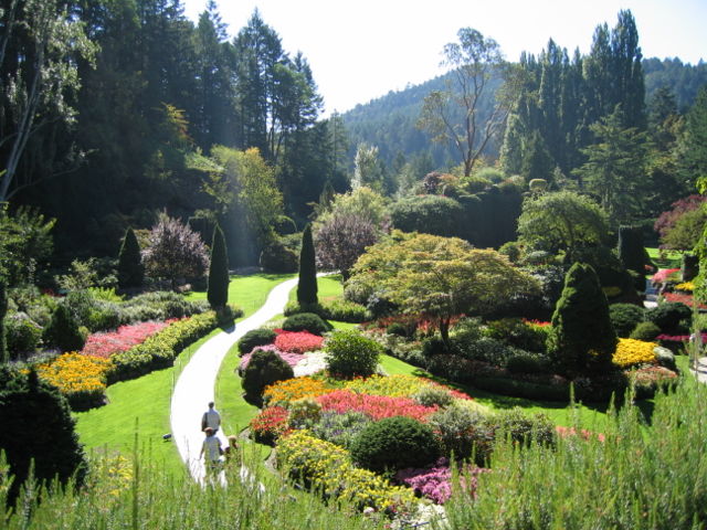 Image:Butchart gardens.JPG