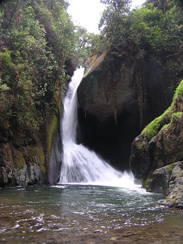 Image:Cataract on the Rio Savegre.jpg