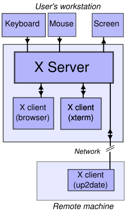 In this example, the X server takes input from a keyboard and mouse and displays to a screen. A web browser and a terminal emulator run on the user's workstation, and a system updater runs on a remote server but is controlled from the user's machine. Note that the remote application runs just as it would locally.