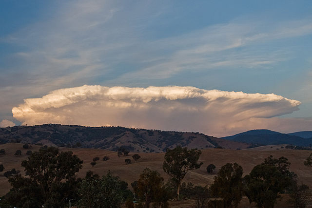 Image:Anvil cumulus feb 2007.jpg