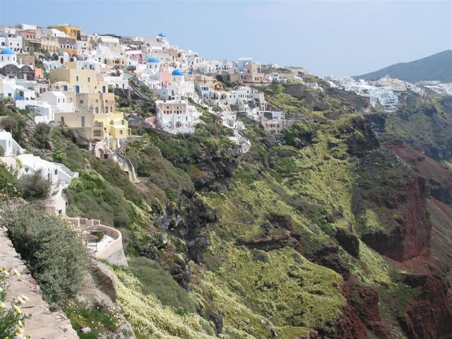 Image:Oia flower carpet.jpg