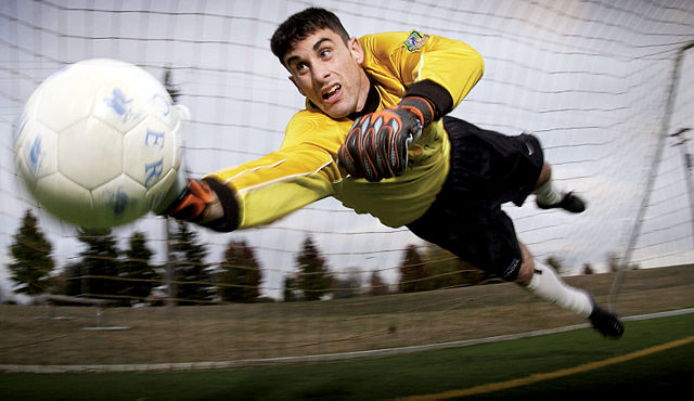 Image:Soccer goalkeeper.jpg