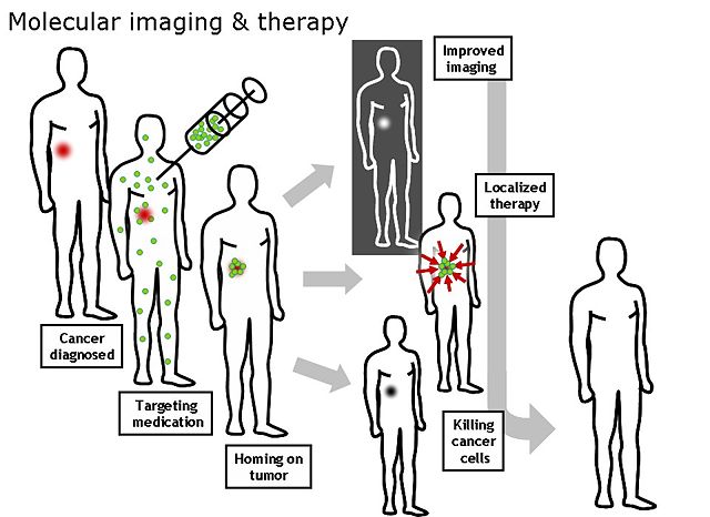 Image:MolecularImagingTherapy.jpg