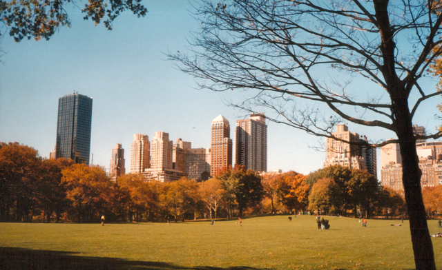 Image:Centralpark.png
