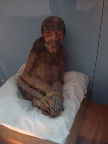 Image:Monkey mummy.jpg